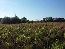 gam&amp;ysduhaut_010620